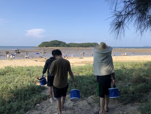 海边三人提桶准备赶海
