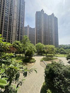 城市中的绿植环绕住宅区