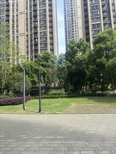 城市中的绿地与高楼景观