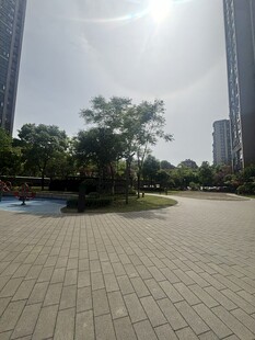 城市中的开阔广场景观