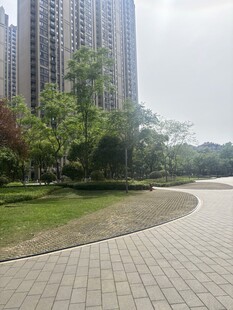 城市公园中的砖石步道景观