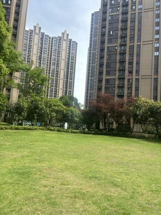 城市草坪旁的高楼景观