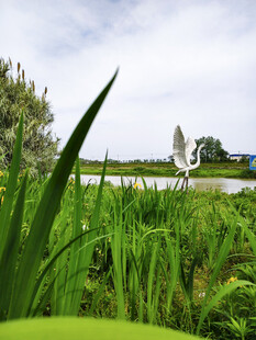 生态湿地公园美景
