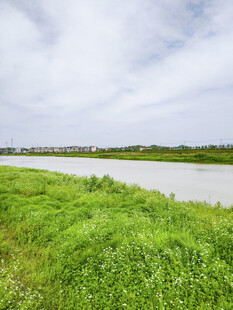 绿野河畔风光