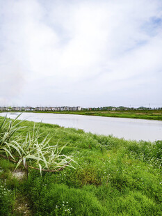 河畔绿野风光