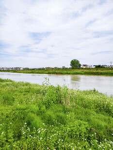 河畔绿野风光