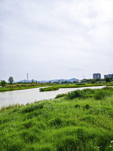 河畔绿地风光