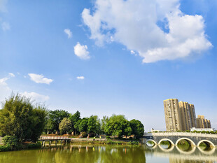 湖畔城市风光美景
