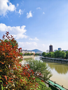 河畔秋景 城市风光入画