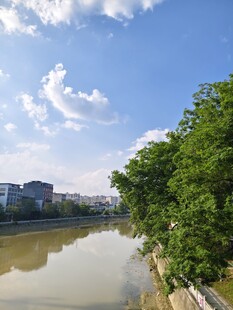 河畔绿树蓝天城市风景