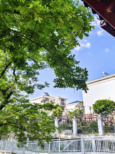 蓝天绿树别墅区