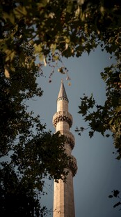 透过枝叶的高耸塔楼