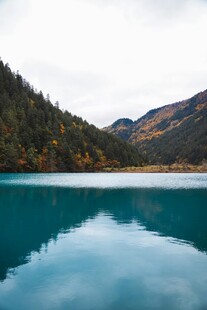 静谧蓝湖映山林