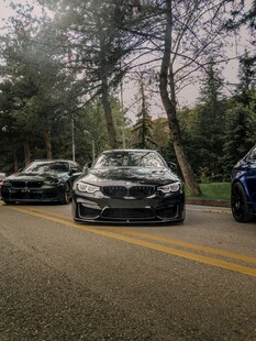 三辆汽车行驶在林间道路