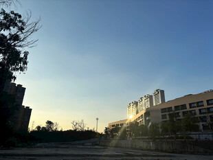夕阳下的建筑与树木景观