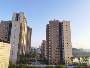 城市高楼景观