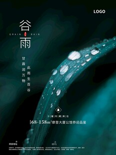 谷雨海报 