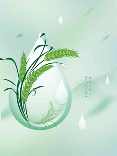 谷雨海报 