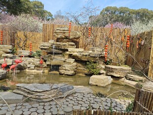 梅园布景