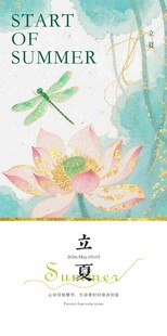 二十四节气 立夏海报