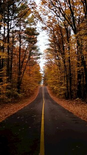 秋日林间公路美景