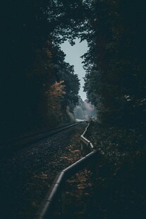 蜿蜒林间铁路
