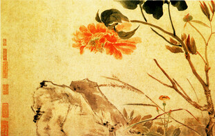 花卉 奇石