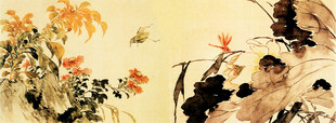 花卉图