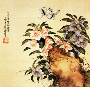 昆虫花卉图