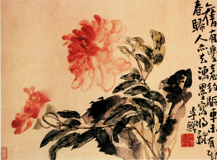 水墨菊花图
