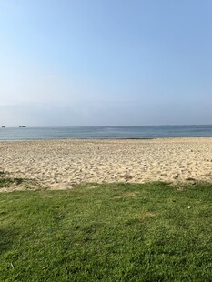 海边草地风景