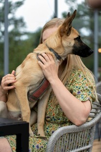 人与爱犬温馨相拥时刻