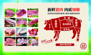 猪肉分割图