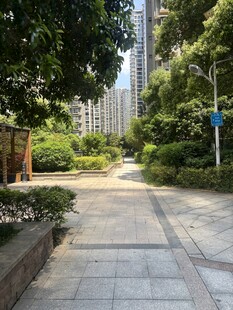 城市中的静谧林荫步道