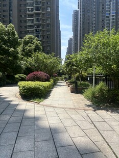 城市中的静谧花园小道
