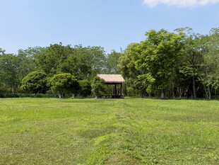 绿野中的简易小屋