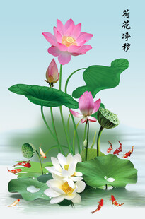 荷花净秽锦鲤图墙贴