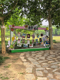 北京海淀公园的花奔展