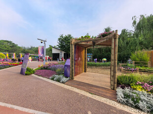 北京海淀公园的花奔展