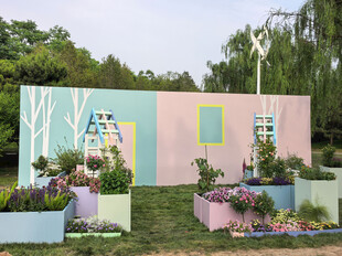 北京海淀公园的花奔展