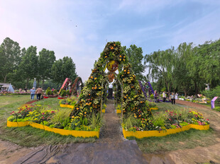 北京海淀公园的花奔展