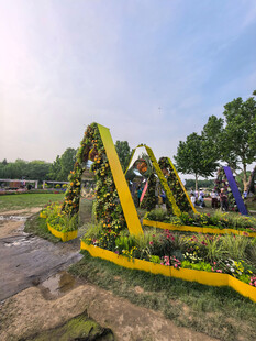 北京海淀公园的花奔展