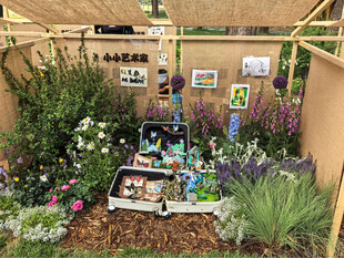 北京海淀公园的花奔展