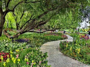 北京海淀公园的花奔展