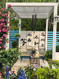 北京海淀公园的花奔展
