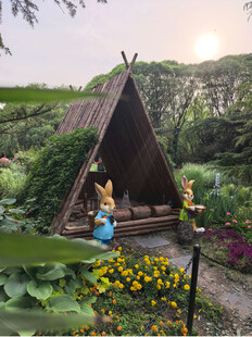 北京海淀公园的花奔展