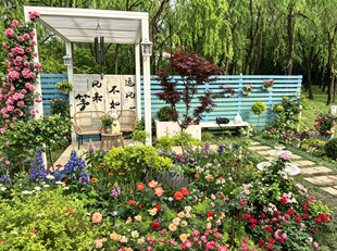 北京海淀公园的花奔展