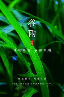 谷雨海报
