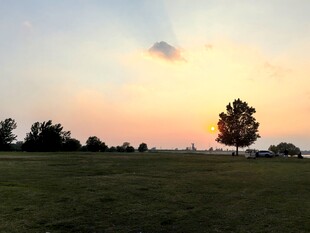 夕阳下的开阔草地与树木