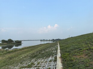 河岸护坡景观